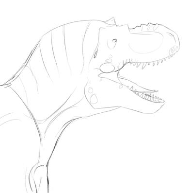 Gorgosaurus Sketch