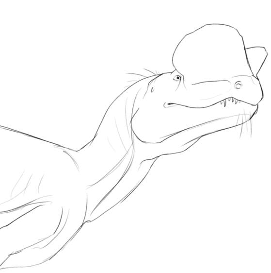 Dilophosaurus Sketch